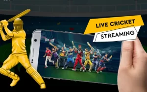Live Cricket